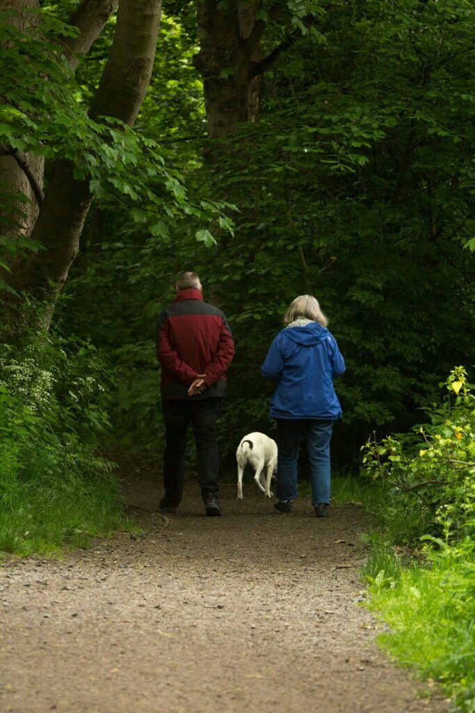Couple walking through woodland with dog enjoying early retirement lifestyle